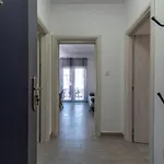 Ante & Sime Apartment Trogir